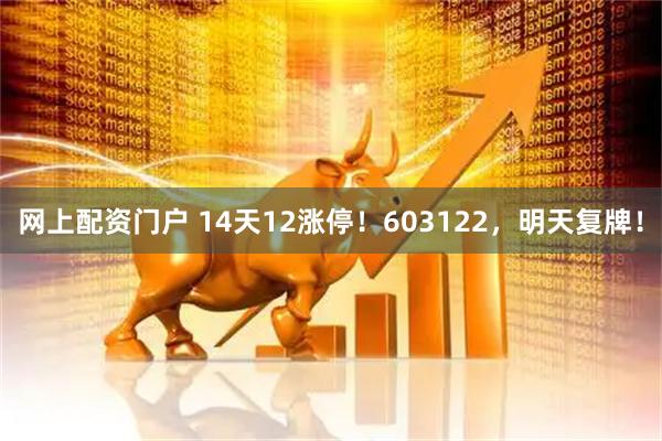 网上配资门户 14天12涨停！603122，明天复牌！
